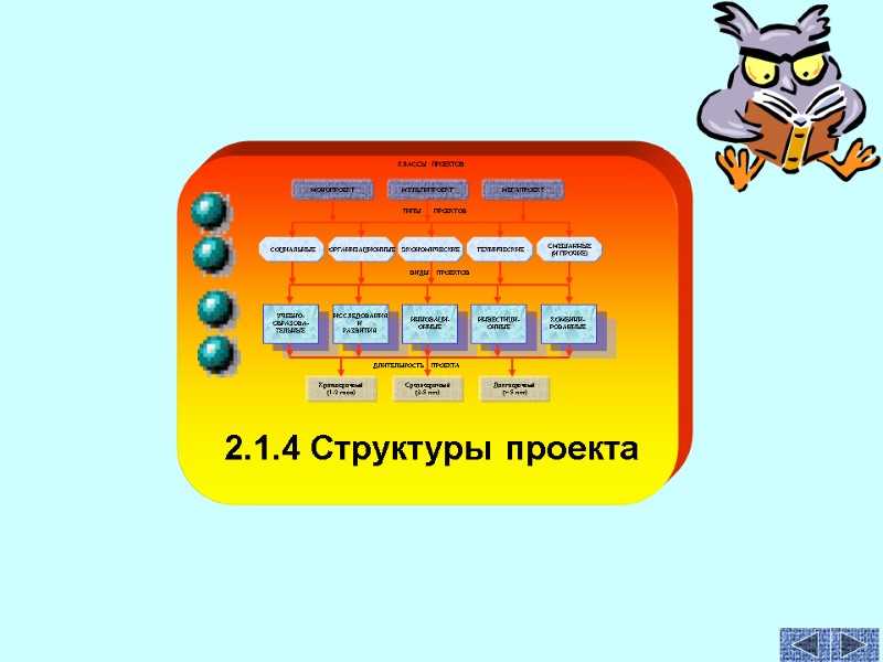 2.1.4 Структуры проекта